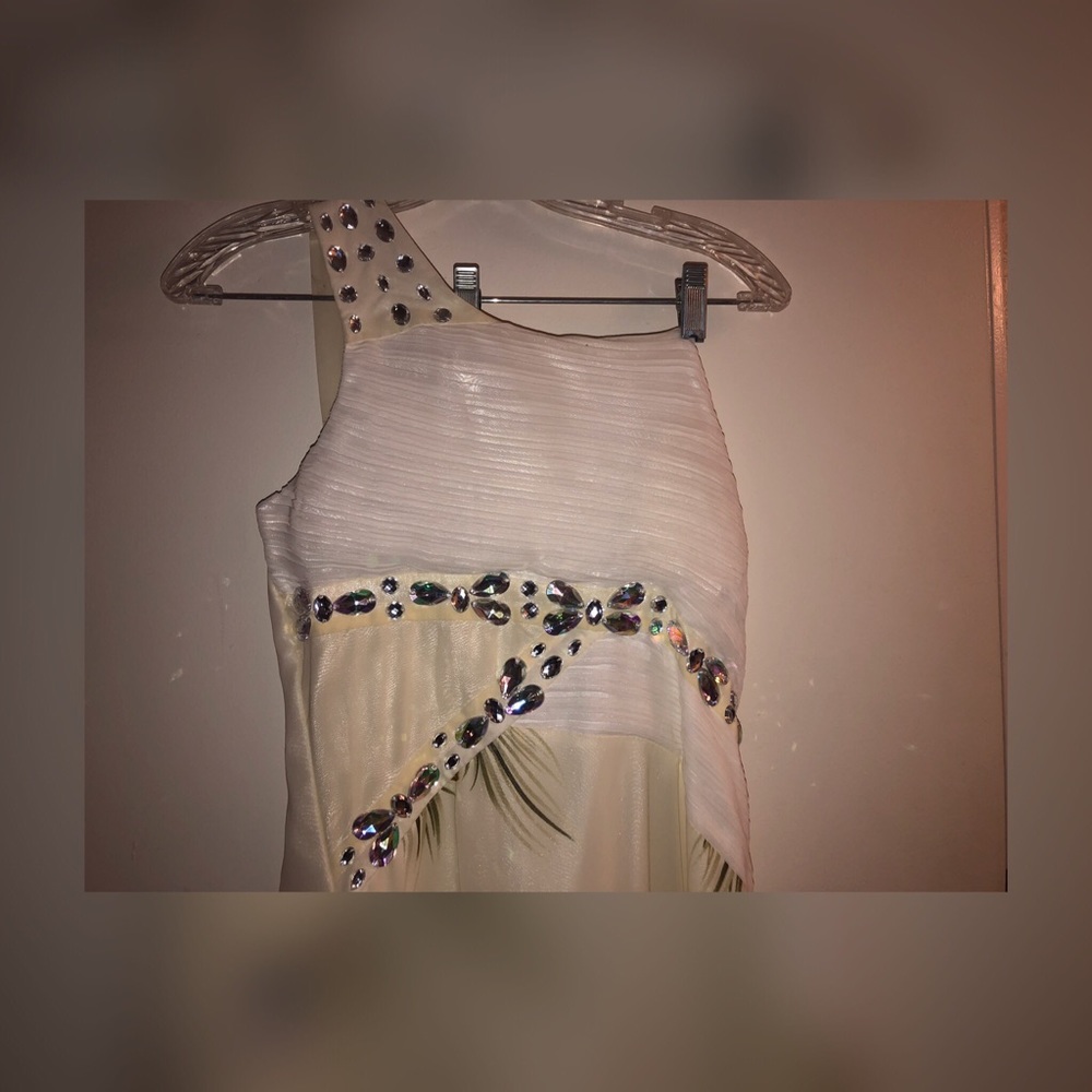 Ivory long Peacock Dress